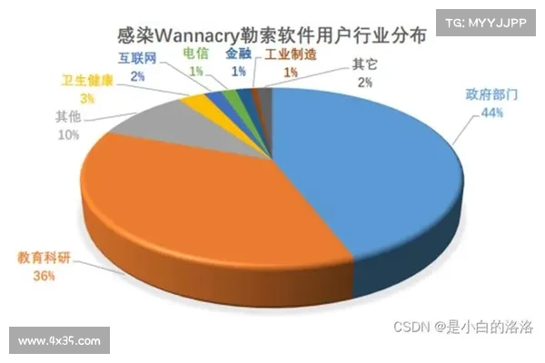 2024年网络勒索和 ransomware 的受害者增加 2024年网络勒索和 ransomware 的受害者增加